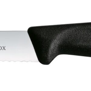 Nóż do jarzyn z ząbkowanym ostrzem, Victorinox, czarny, (L)212mm
