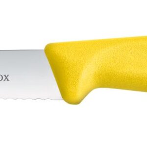 Nóż do jarzyn z ząbkowanym ostrzem, Victorinox, żółty, (L)212mm