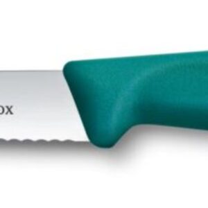 Nóż do jarzyn z ząbkowanym ostrzem, Victorinox, zielony, (L)212mm