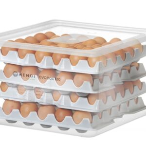 Pojemnik na jajka HENDI OVOBOX 120, HENDI, GN 2/3, 18L, 355x325x(H)200mm, Prostokątny